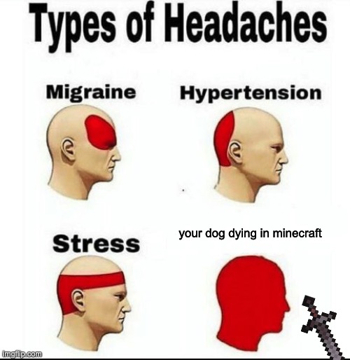 sad | your dog dying in minecraft | image tagged in types of headaches meme | made w/ Imgflip meme maker