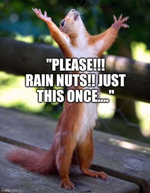 Finished! | "PLEASE!!! RAIN NUTS!! JUST THIS ONCE...." | image tagged in finished | made w/ Imgflip meme maker