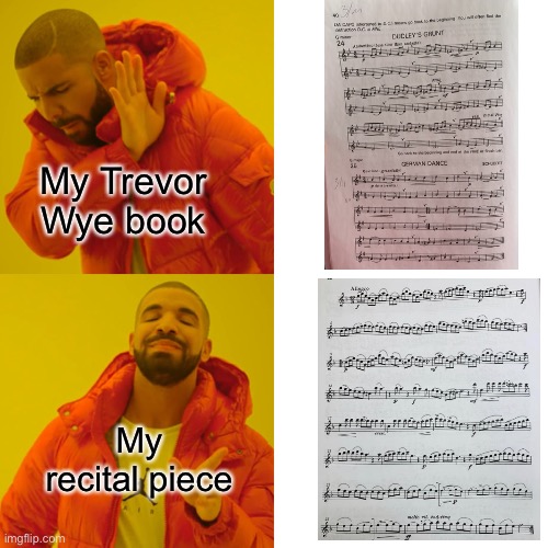 Eternal suffering of Nicole in flute class | My Trevor Wye book; My recital piece | image tagged in memes,drake hotline bling | made w/ Imgflip meme maker