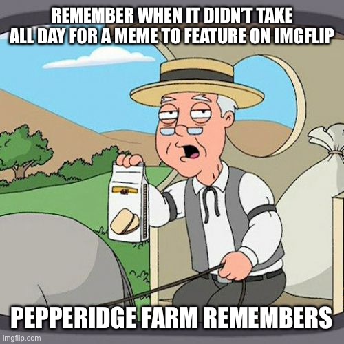 Pepperidge Farm Remembers | REMEMBER WHEN IT DIDN’T TAKE ALL DAY FOR A MEME TO FEATURE ON IMGFLIP; PEPPERIDGE FARM REMEMBERS | image tagged in memes,pepperidge farm remembers | made w/ Imgflip meme maker