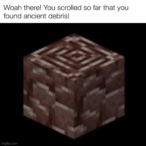Nice Job | image tagged in minecraft,netherite,never gonna give you up,never gonna let you down,never gonna run around,and desert you | made w/ Imgflip meme maker