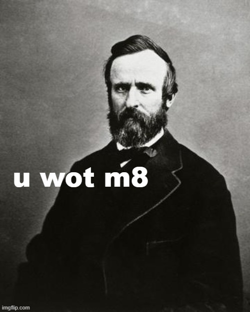 Rutherford B. Hayes u wot m8 | image tagged in rutherford b hayes u wot m8 | made w/ Imgflip meme maker