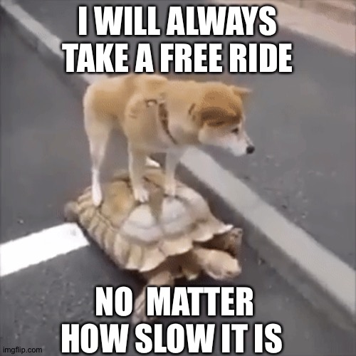 Free Rides Rule | I WILL ALWAYS TAKE A FREE RIDE; NO  MATTER HOW SLOW IT IS | image tagged in doge | made w/ Imgflip meme maker