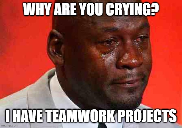 teamwork | WHY ARE YOU CRYING? I HAVE TEAMWORK PROJECTS | image tagged in crying michael jordan | made w/ Imgflip meme maker