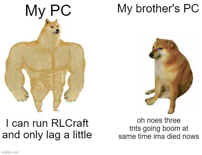 Computer Doge | My PC; My brother's PC; I can run RLCraft and only lag a little; oh noes three tnts going boom at same time ima died nows | image tagged in memes,buff doge vs cheems | made w/ Imgflip meme maker