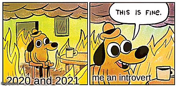 USA be on fire rn | me an introvert; 2020 and 2021 | image tagged in memes,this is fine,2020 sucks,2021,fire,first world problems | made w/ Imgflip meme maker