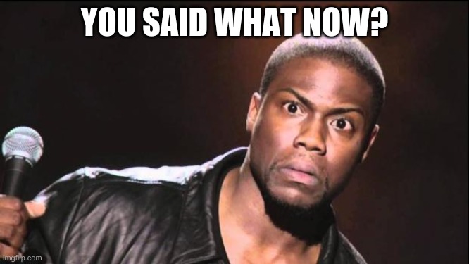 kevin heart idiot | YOU SAID WHAT NOW? | image tagged in kevin heart idiot | made w/ Imgflip meme maker