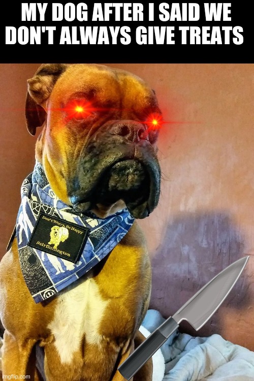 run | MY DOG AFTER I SAID WE DON'T ALWAYS GIVE TREATS | image tagged in grumpy dog | made w/ Imgflip meme maker