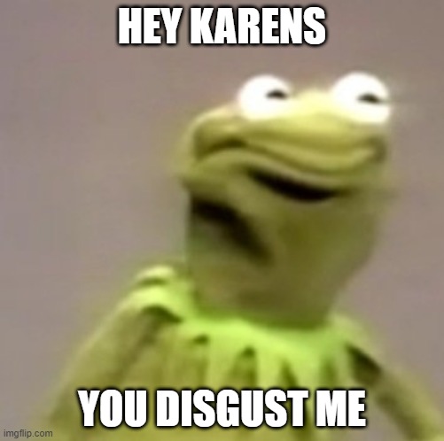 Kermit Weird Face | HEY KARENS; YOU DISGUST ME | image tagged in kermit weird face | made w/ Imgflip meme maker