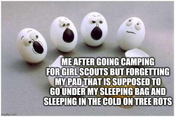 This Broken Egg | ME AFTER GOING CAMPING FOR GIRL SCOUTS BUT FORGETTING MY PAD THAT IS SUPPOSED TO GO UNDER MY SLEEPING BAG AND SLEEPING IN THE COLD ON TREE R | image tagged in this broken egg | made w/ Imgflip meme maker