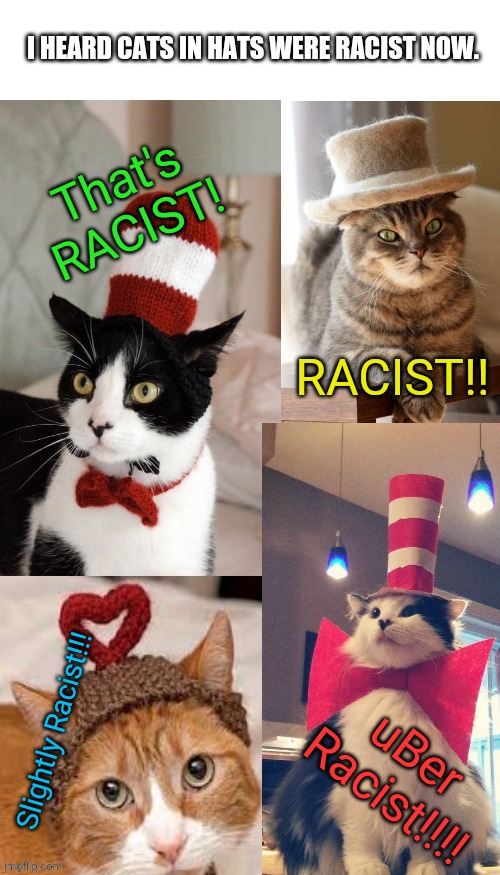 Anyone showing cats in hats are blindly subverting to bigotry.  According to liberals anyway. | I HEARD CATS IN HATS WERE RACIST NOW. That's RACIST! RACIST!! Slightly Racist!!! uBer Racist!!!! | image tagged in cats,stupid liberals | made w/ Imgflip meme maker