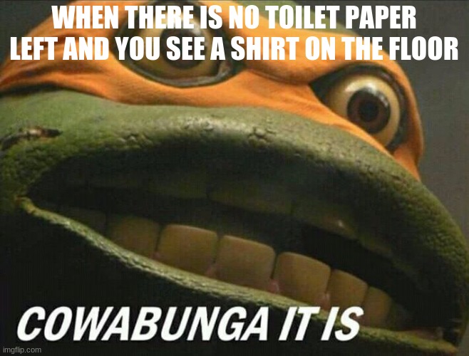 Cowabunga it is | WHEN THERE IS NO TOILET PAPER LEFT AND YOU SEE A SHIRT ON THE FLOOR | image tagged in cowabunga it is | made w/ Imgflip meme maker