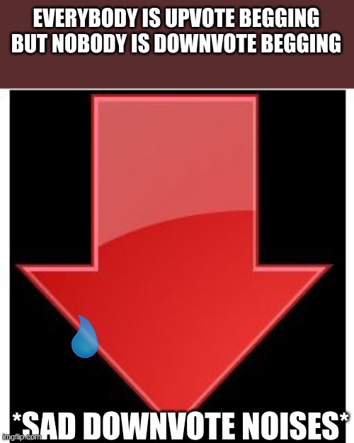 downvotes | EVERYBODY IS UPVOTE BEGGING BUT NOBODY IS DOWNVOTE BEGGING; *SAD DOWNVOTE NOISES* | image tagged in downvotes | made w/ Imgflip meme maker
