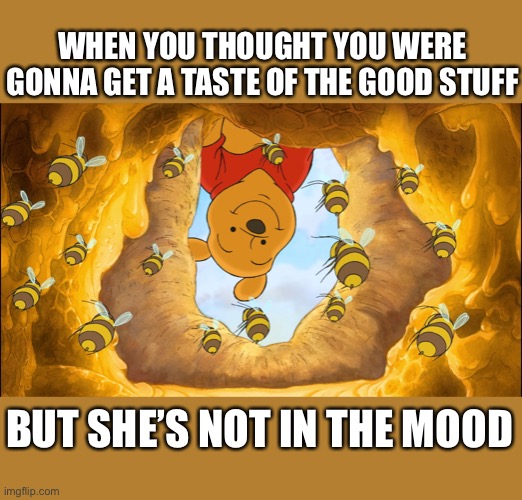 Honey & The Bees | WHEN YOU THOUGHT YOU WERE GONNA GET A TASTE OF THE GOOD STUFF; BUT SHE’S NOT IN THE MOOD | image tagged in winnie the pooh,hungry,horny,bees | made w/ Imgflip meme maker