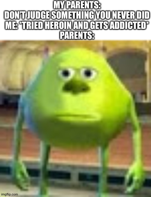 Sully Wazowski | MY PARENTS: DON’T JUDGE SOMETHING YOU NEVER DID

ME: *TRIED HEROIN AND GETS ADDICTED*

PARENTS: | image tagged in sully wazowski | made w/ Imgflip meme maker