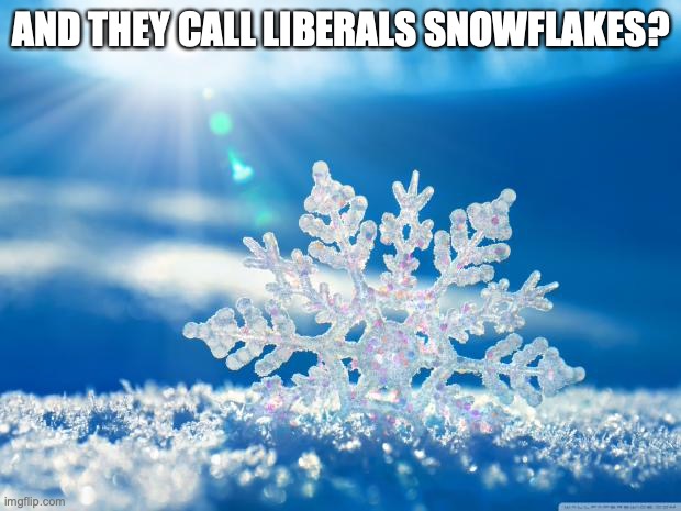 snowflake | AND THEY CALL LIBERALS SNOWFLAKES? | image tagged in snowflake | made w/ Imgflip meme maker