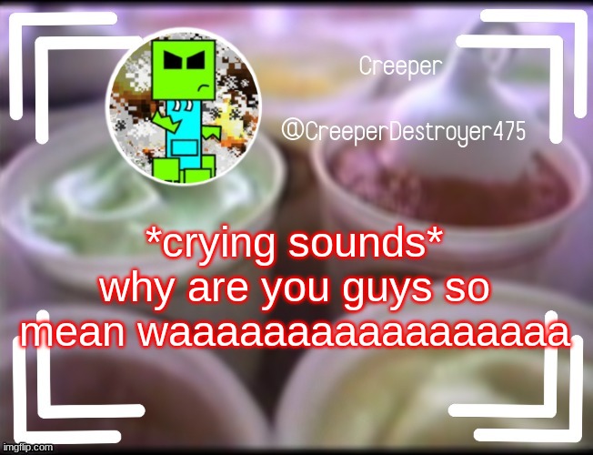 CreeperDestroyer475 DQ announcement | *crying sounds* why are you guys so mean waaaaaaaaaaaaaaaaa | image tagged in creeperdestroyer475 dq announcement | made w/ Imgflip meme maker