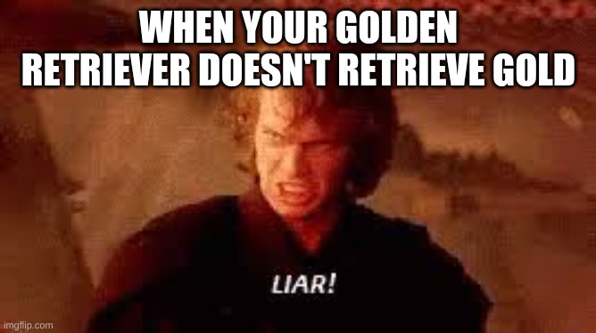When your Golden Retriever Doesn't Retrieve Gold | WHEN YOUR GOLDEN RETRIEVER DOESN'T RETRIEVE GOLD | image tagged in anakin liar | made w/ Imgflip meme maker