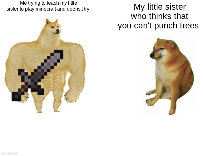 Buff Doge vs. Cheems | Me trying to teach my little sister to play minecraft and doens't try; My little sister who thinks that you can't punch trees | image tagged in memes,buff doge vs cheems | made w/ Imgflip meme maker