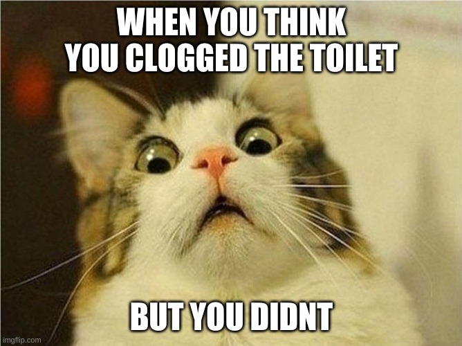 WHEN YOU THINK YOU CLOGGED THE TOILET; BUT YOU DIDNT | image tagged in memes,cats | made w/ Imgflip meme maker