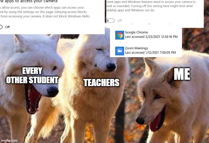 Laughing wolf | EVERY OTHER STUDENT; ME; TEACHERS | image tagged in laughing wolf | made w/ Imgflip meme maker