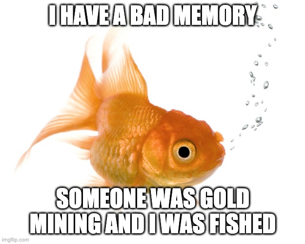 Bad Memory Goldfish | I HAVE A BAD MEMORY SOMEONE WAS GOLD MINING AND I WAS FISHED | image tagged in bad memory goldfish | made w/ Imgflip meme maker