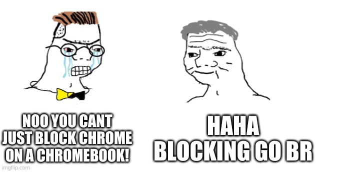 nooo haha go brrr | NOO YOU CANT JUST BLOCK CHROME ON A CHROMEBOOK! HAHA BLOCKING GO BRRR | image tagged in nooo haha go brrr | made w/ Imgflip meme maker