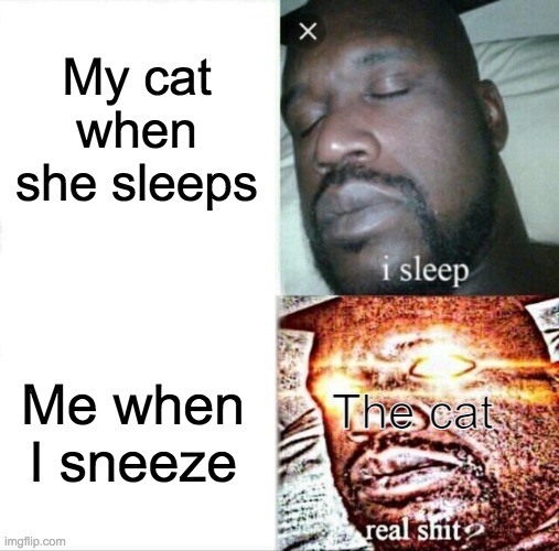Meow :3 | My cat when she sleeps; Me when I sneeze; The cat | image tagged in memes,sleeping shaq | made w/ Imgflip meme maker