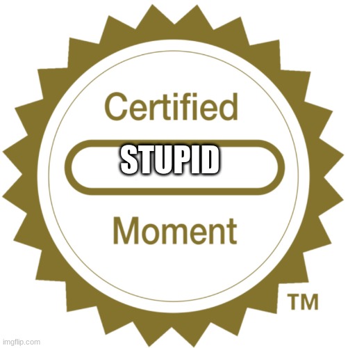Certified Moment | STUPID | image tagged in certified moment | made w/ Imgflip meme maker