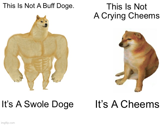 Not You | This Is Not A Buff Doge. This Is Not A Crying Cheems; It’s A Swole Doge; It’s A Cheems | image tagged in memes,buff doge vs cheems | made w/ Imgflip meme maker
