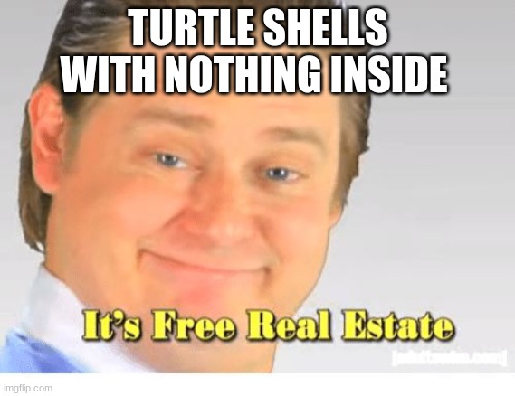 It's Free Real Estate | TURTLE SHELLS WITH NOTHING INSIDE | image tagged in it's free real estate | made w/ Imgflip meme maker