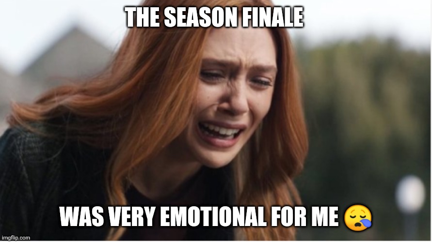 You'll understand... | THE SEASON FINALE; WAS VERY EMOTIONAL FOR ME 😪 | image tagged in wandavision | made w/ Imgflip meme maker