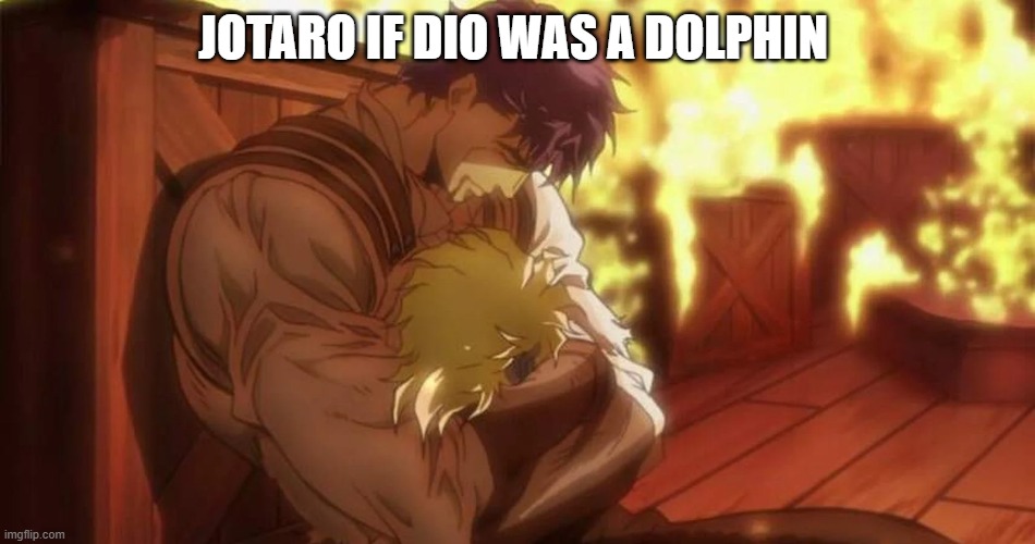 jojo | JOTARO IF DIO WAS A DOLPHIN | image tagged in jojo's bizarre adventure | made w/ Imgflip meme maker