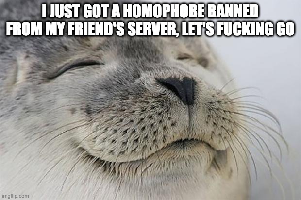 Story in comments. | I JUST GOT A HOMOPHOBE BANNED FROM MY FRIEND'S SERVER, LET'S FUCKING GO | image tagged in memes,satisfied seal | made w/ Imgflip meme maker