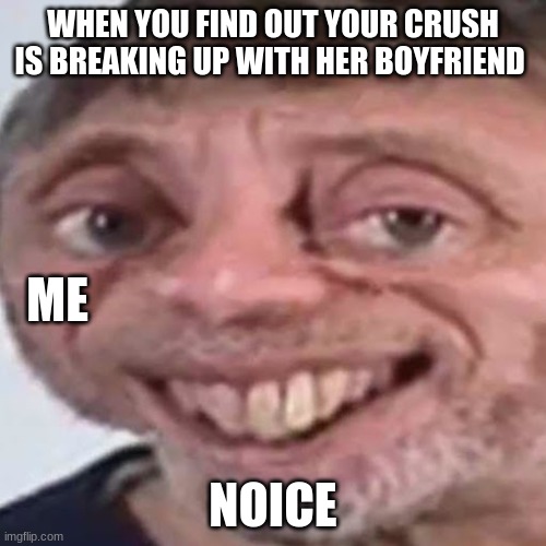 Noice | WHEN YOU FIND OUT YOUR CRUSH IS BREAKING UP WITH HER BOYFRIEND; ME; NOICE | image tagged in noice | made w/ Imgflip meme maker