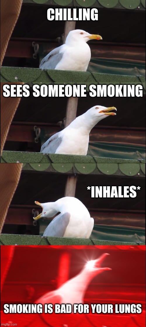 :P | CHILLING; SEES SOMEONE SMOKING; *INHALES*; SMOKING IS BAD FOR YOUR LUNGS | image tagged in memes,inhaling seagull | made w/ Imgflip meme maker