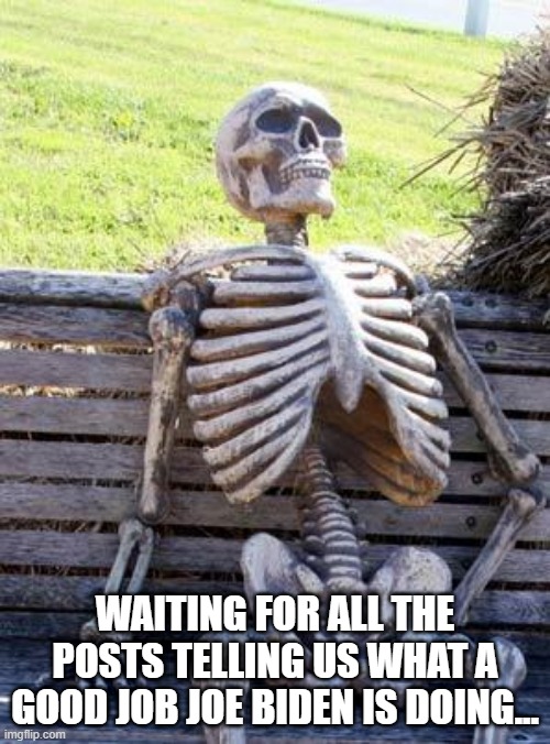 Waiting Skeleton Meme | WAITING FOR ALL THE POSTS TELLING US WHAT A GOOD JOB JOE BIDEN IS DOING... | image tagged in memes,waiting skeleton,joe biden | made w/ Imgflip meme maker