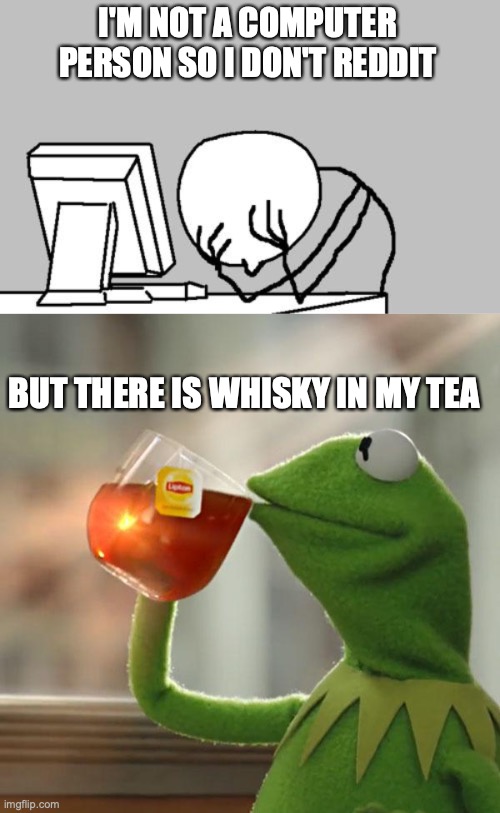 I'M NOT A COMPUTER PERSON SO I DON'T REDDIT BUT THERE IS WHISKY IN MY TEA | image tagged in memes,computer guy facepalm,but that's none of my business | made w/ Imgflip meme maker