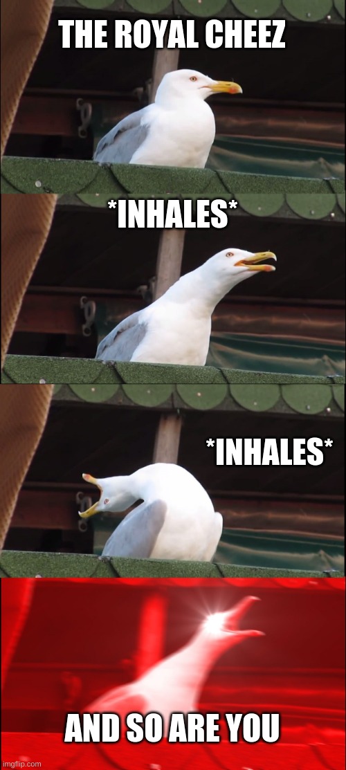 Inhaling Seagull | THE ROYAL CHEEZ; *INHALES*; *INHALES*; AND SO ARE YOU | image tagged in memes,inhaling seagull | made w/ Imgflip meme maker