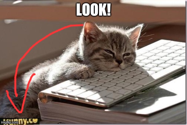 LOOK! | made w/ Imgflip meme maker