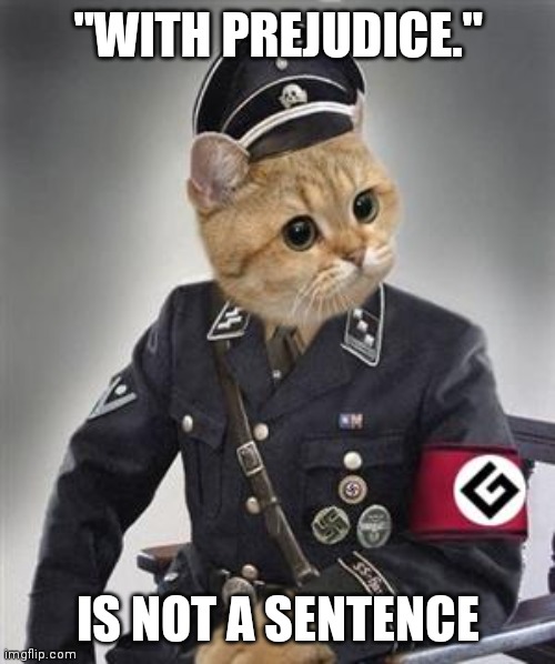 Grammar Nazi Cat | "WITH PREJUDICE." IS NOT A SENTENCE | image tagged in grammar nazi cat | made w/ Imgflip meme maker
