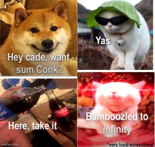 Bamboozled | image tagged in cats,cade,bamboozled,memes,cattos,not really a gif | made w/ Imgflip meme maker