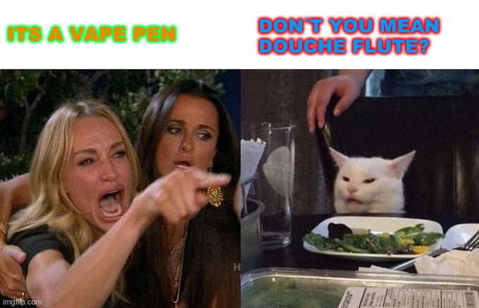 WOMEN YELLING AT CAT | ITS A VAPE PEN; DON´T YOU MEAN DOUCHE FLUTE? | image tagged in memes,woman yelling at cat | made w/ Imgflip meme maker