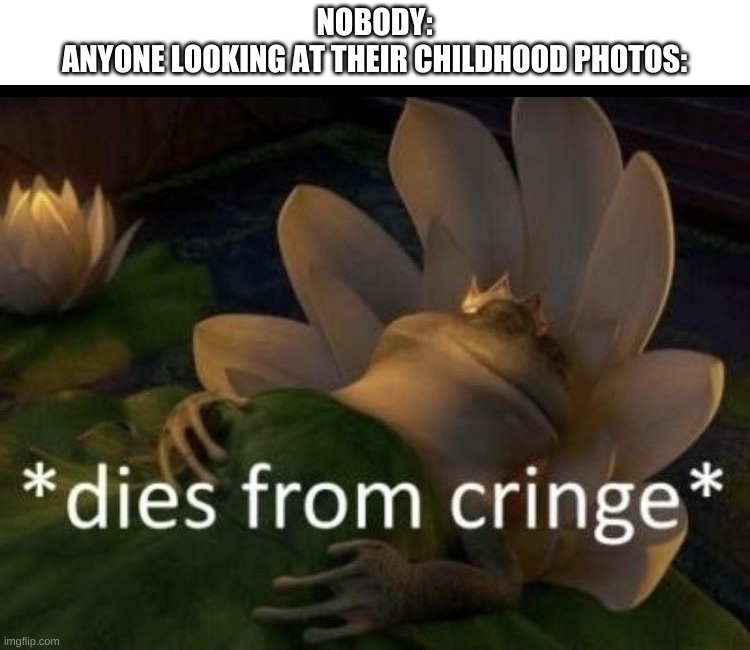 t e l l m e i m w r o n g | NOBODY:


ANYONE LOOKING AT THEIR CHILDHOOD PHOTOS: | image tagged in dies from cringe | made w/ Imgflip meme maker