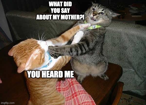 Cat Battle | WHAT DID YOU SAY ABOUT MY MOTHER?! YOU HEARD ME | image tagged in two cats fighting for real,cats,fight,mother | made w/ Imgflip meme maker