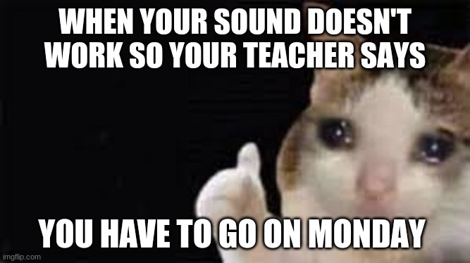 crying cat | WHEN YOUR SOUND DOESN'T WORK SO YOUR TEACHER SAYS; YOU HAVE TO GO ON MONDAY | image tagged in crying cat | made w/ Imgflip meme maker