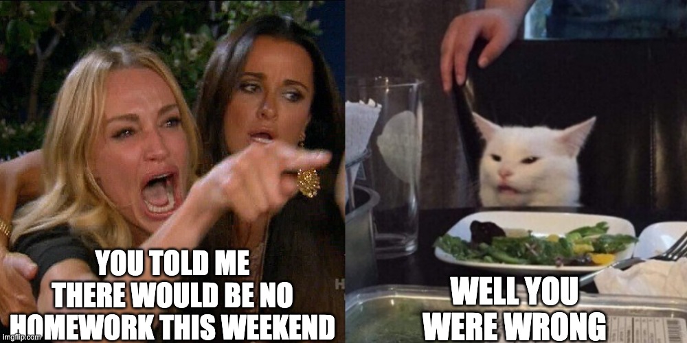 School Homework | YOU TOLD ME THERE WOULD BE NO HOMEWORK THIS WEEKEND; WELL YOU WERE WRONG | image tagged in woman yelling at cat,cats,homework,school,woman | made w/ Imgflip meme maker