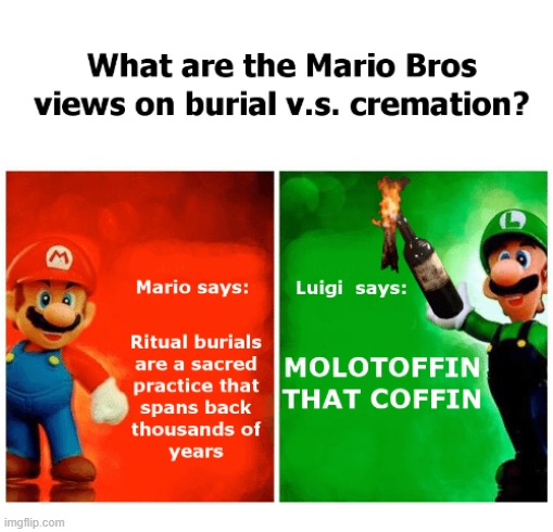 very differing views | image tagged in memes,mario bros views | made w/ Imgflip meme maker