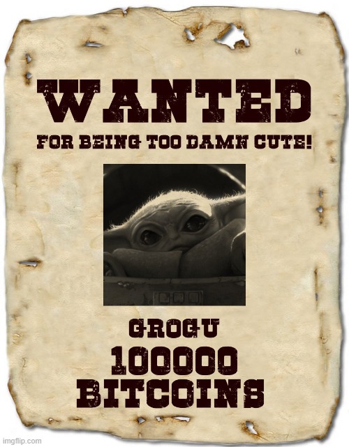 Wanted by the Empire! | image tagged in wanted poster,empire,first republic,too damn cute,bounty hunter | made w/ Imgflip meme maker