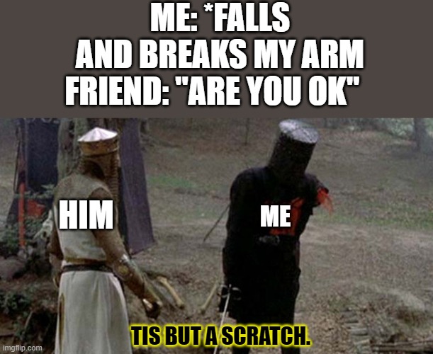 Meanwhile... My mom don't give a shit | ME: *FALLS AND BREAKS MY ARM; FRIEND: "ARE YOU OK"; HIM; ME; TIS BUT A SCRATCH. | image tagged in tis but a scratch | made w/ Imgflip meme maker